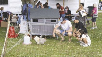 Pioneer Day Photos by Terry Lloyd