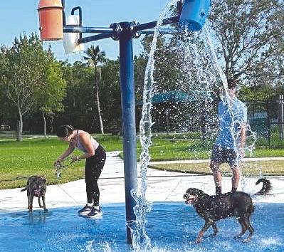 Photo/City of Kissimmee