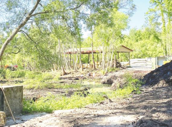 The former Jungleland Zoo site is being transformed into Krush Brau Park and Biergarten. NEWS-GAZETTE PHOTO/BRIAN MCBRIDE