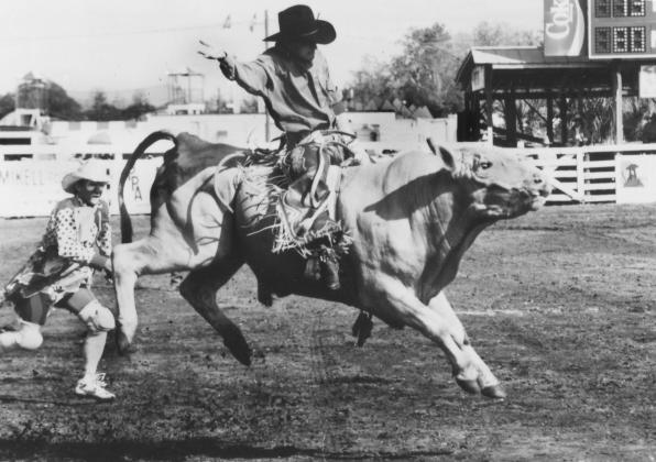 This is what bull riding looked like in the formative days of the Silver Spurs Rodeo—not too different from how it’ll look at Friday and Saturday’s 153rd edition. PHOTO/SILVER SPURS RODEO