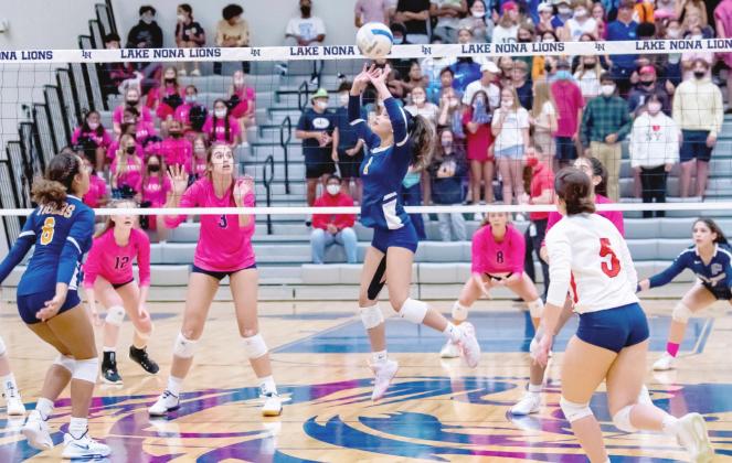 Osceola County Player of the Year Ariana Warner sets a ball during Tohopekaliga’s regional playoff match against Lake Nona. The Lady Tigers went 22-3 this season and were OBC Champions. PHOTO/DAVID JESTER PHOTOGRAPHY