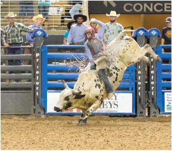 The Silver Spurs Riding Club’s best stock — and some of pro rodeo’s best riders and racers — will be on display Oct. 7 at the annual Boots, Bulls and Barrels rodeo. PHOTO/SILVER SPURS RIDING CLUB