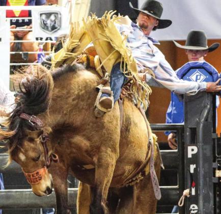 Saddle bronc