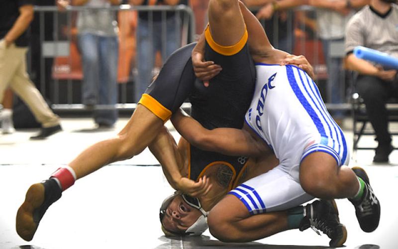 Harmony’s Nathan Barrett used the mat, his body and anything else within arm’s reach, but fell 5-1 to South Dade’s Armad Williams in the 150-pound final