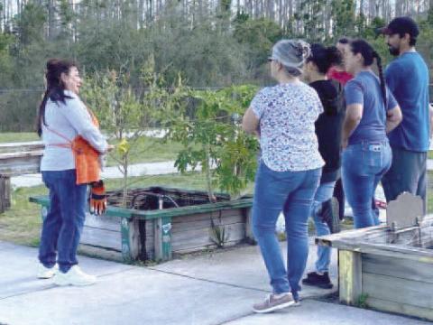 Love Makes Me Grow’s mission is to teach communities the value and importance of living off the land. The next class is Sunday at Chestnut Elementary. FILE PHOTO