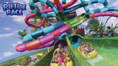 Aquatica Orlando, voted Orlando’s No. 1 waterpark, is racing into 2020 with a one-of-a-kind new park attraction that will thrill park-goers—Florida’s first-ever dueling water slide, Riptide Race.