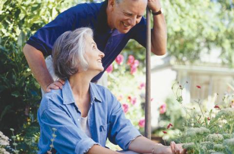 Pruning: the primary purpose of pruning is to control the size and shape of plants.