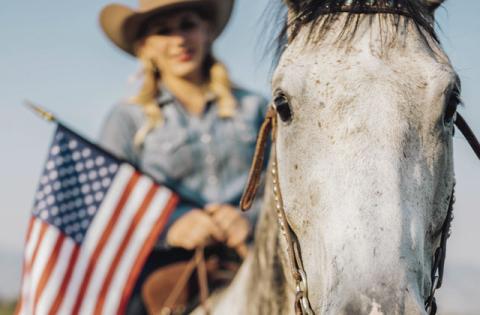 There is no such thing as a one size fit all program, so every horse owner should work with their veterinarian to develop a deworming program to fit their horse’s needs. 
