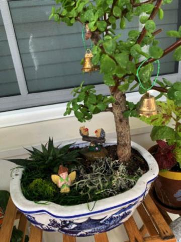 Miniature garden