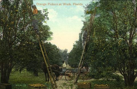 Osceola History