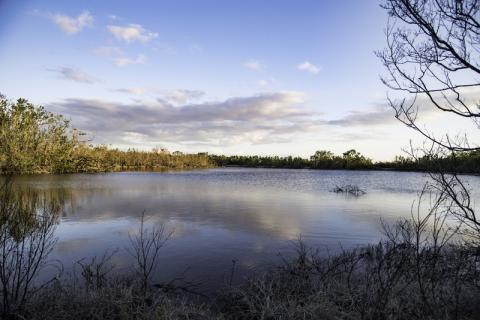 The Everglades is known as a water shed.