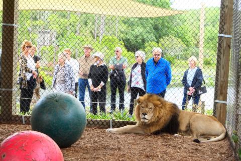 PHOTO/CENTRAL FLORIDA ANIMAL RESERVE