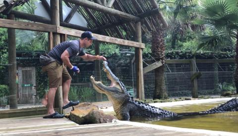 PHOTO/WILD FLORIDA