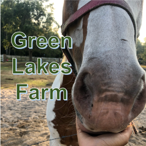 Poinciana Green Lakes Farm