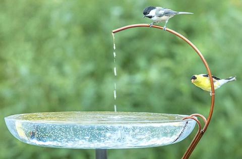 By incorporating a few additions to your yard, you will attract more birds and help protect them. You’ll be rewarded with the beautiful sight of birds all year round. 