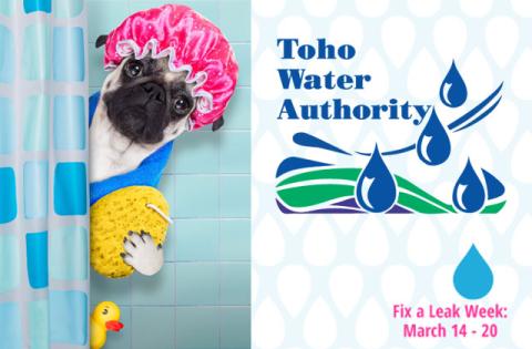 Toho Water Authority
