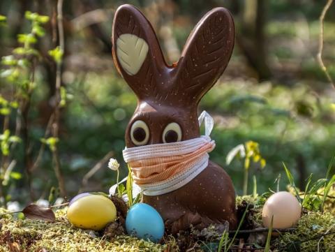 You'll find (at least) three Easter egg hunts for the kids on Saturday morning in St. Cloud.