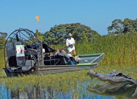 Wild Willy’s Airboat Tours in St. Cloud said alligators are more aggressive this time of year due to nesting season, which ends in September. PHOTO/TRIPADVISOR