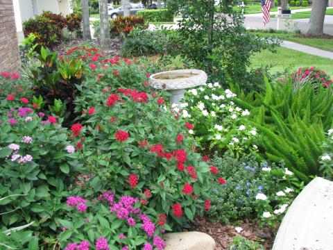 PHOTO/EXTENSION SERVICES Florida Friendly Landscaping minimizes water use, avoiding runoff of water, fertilizer, and pesticides, and providing wildlife habitats in the name of sustainability.