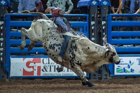 The Silver Spurs Riding Club’s best stock — and some of pro rodeo’s best riders and races — will be on display Oct. 1 at Boots, Bulls and Barrels. PHOTO/SILVER SPURS RIDING CLUB