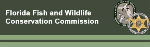 FWC’s Wildlife Alert now using Tip411 system to communicate tips