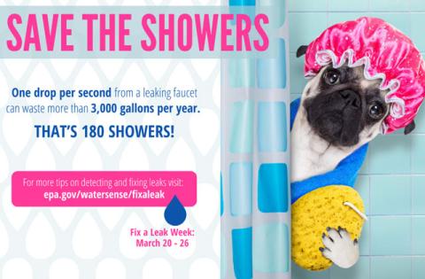 Save the Showers