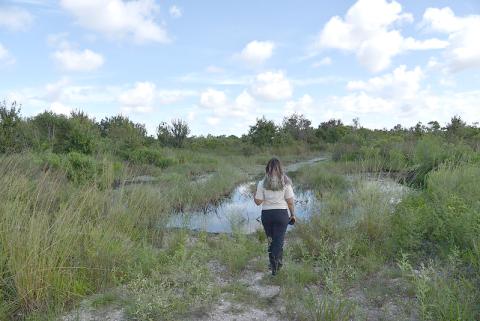 Florida residents and visitors are encouraged to grab their phones and go on a wild adventure during Florida WildQuest 2023. PHOTO/MY FWC 