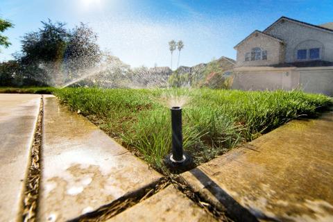 Adjust your sprinklers so they are not watering impervious surfaces such as sidewalks and driveways