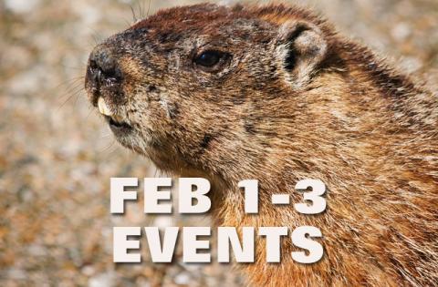 Saturday is poised to be a busy day in St. Cloud.