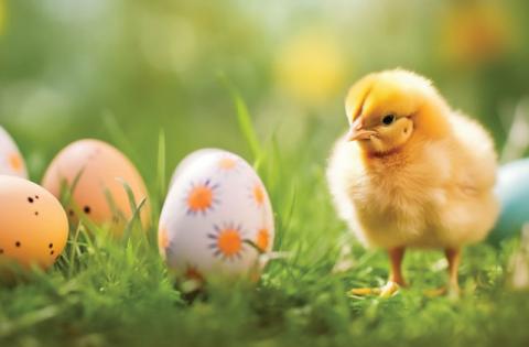Spring has sprung in Poinciana.  There are plenty of Easter and Spring events to keep you hopping. PHOTO/METRO CREATIVE