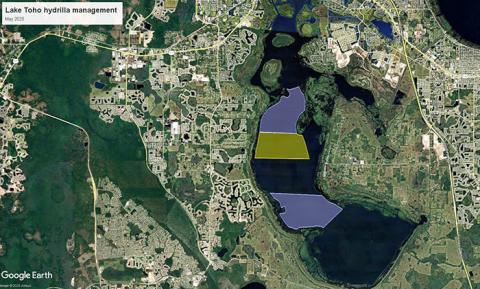 The week of May 5, FWC will conduct aquatic plant control on Lake Tohopekaliga in Osceola County. PHOTO/FWC