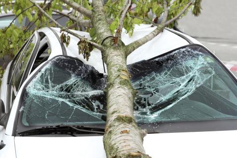 According to Weiss Ratings, following 2024 major hurricanes Helene and Milton, insurance corporations have closed almost 47% of claims without payment.  This is leading to Floridians aggressively fighting back to get the money they are owed after faithfully paying their premiums. PHOTO/METRO CREATIVE