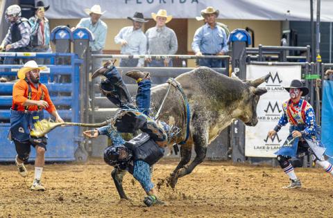 Some riders will fall, like at the 2025 154th event, and some will make it the full eight seconds when they mount their steeds at the 156th Silver Spurs Rodeo Feb, 19-22. (Photo/Taylor McFee)