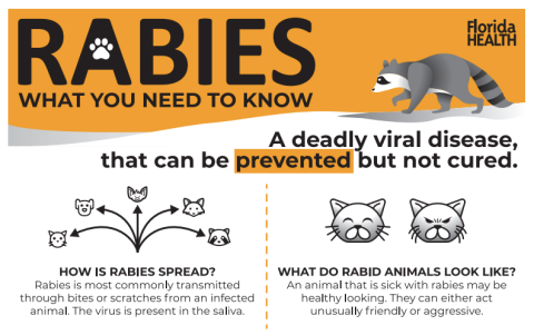 A Rabies Alert is in affect for portions of the St. Cloud area. Information can be found online at https://www.floridahealth.gov/diseases-and-conditions/disease/rabies.