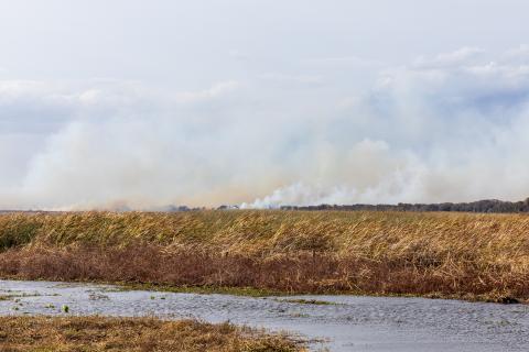 Smoke from a fire along Southport Road south of Lake Tohopekaliga could be clearly seen from Canoe Creek Road to the east. (Photo/Taylor McFee)