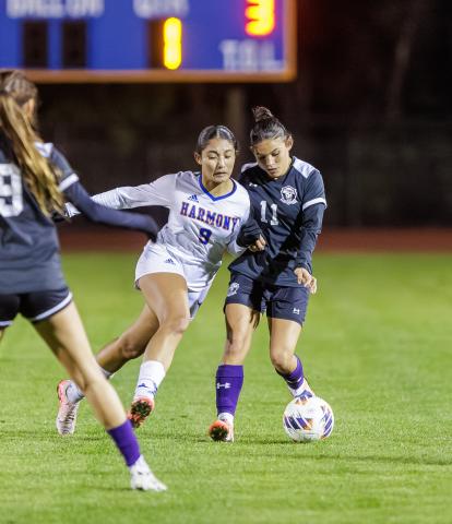 Harmony and Celebration, seen here in last week's District 7A-7 tournament final, both secured regional playoff wins Thursday, and will play on the road Wednesday (Photo/Taylor McFee)