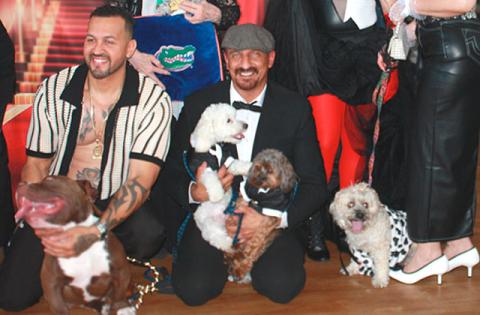 The sights and the hounds, er, sounds, of the inaugural Merrill Gardens Doggy Fashion Show Friday. (Photo/Christine Pike)