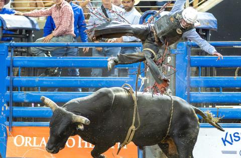 Score one for the bull and the Silver Spurs Stock. The PRCA cowboys rode to a sellout crowd Saturday at the Silver Spurs Rodeo Photo/TaylorMcFee).