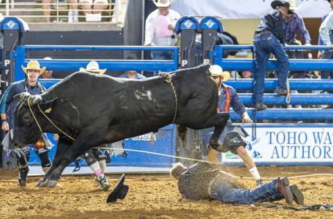 This shot from the 2025 Boots, Bulls and Barrels tells you what you need to know — about the cowboys, about the Silver Spurs Riding Club stock, and what to expect on Oct. 3. (News-Gazette File Photo)