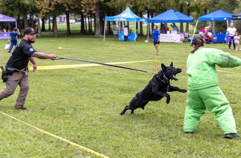 St. Cloud Police’s K9 unit perform a tactical exercise for attendees of the Oct. 6 local event for National Night Out at the St. Cloud Lakefront. (Photo/Taylor McFee)