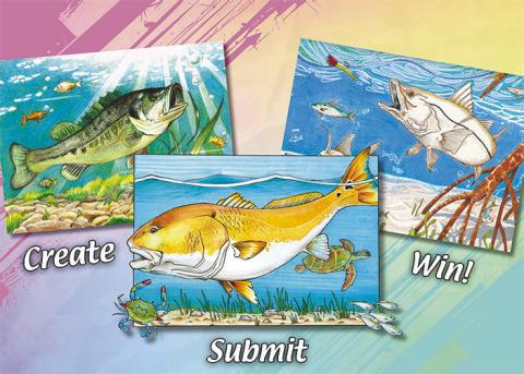 Left: Florida bass artwork by Hannah Wang, Middle: Redfish artwork by Sebastian Romo, Right: Snook artwork by Nicolas Leon. (Photo/FWC)