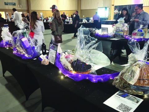 Thousands of dollars were raised to assist Help Now in advocating for victims, and providing safe haven and a defense against their abusers at Friday night's "Tapas With A Purpose". PHOTOS/KEN JACKSON