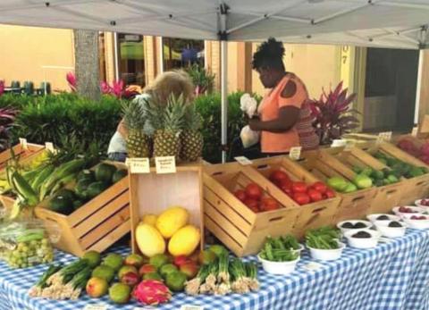 Nothing gets you in the mood for fall like fresh produce from the Kissimmee Valley Farmers Market. PHOTO/CHRIS MILLER