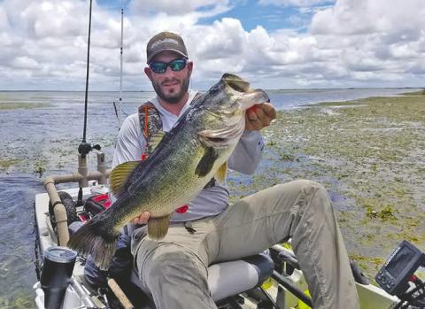 Earlier in February, FWC recognized Florida bass as a unique species and incorporated the name change into rules. SUBMITTED PHOTO