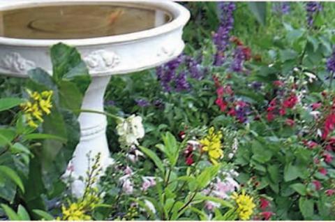 Get some insight into growing a garden or food at an Extension Services class or event. PHOTO/UF-IFAS EXTENSION SERVICES